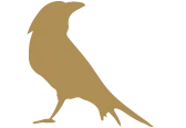 cuervo